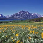 Glacier National Park