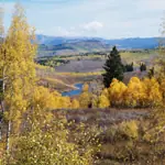 Yampa River