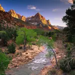 Zion National Park